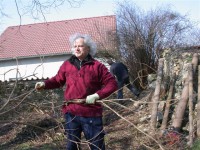 /album/fotogalerie-dobrovolna-akce-jarni-uklid-kolem-svarovskeho-kostela-sv-lukase/brigada-21-3-2015-kostel-svarov-010-jpg1/